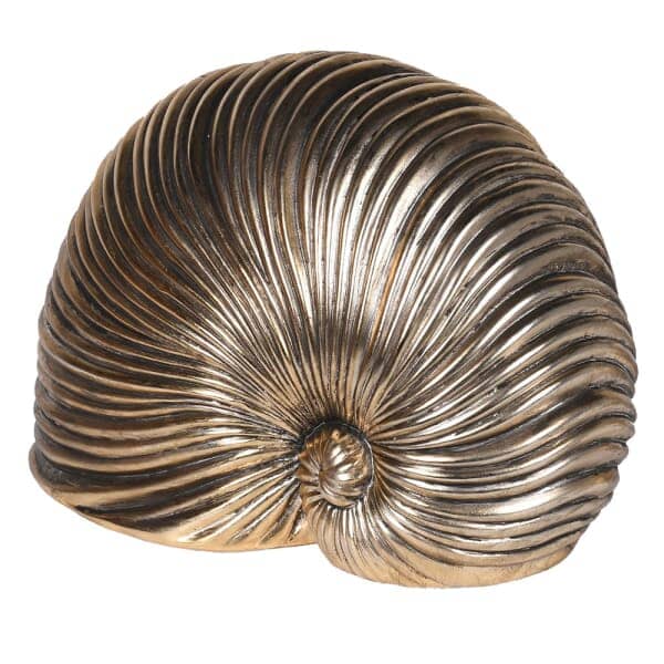 Bianco Gold Shell Decorative Ornament