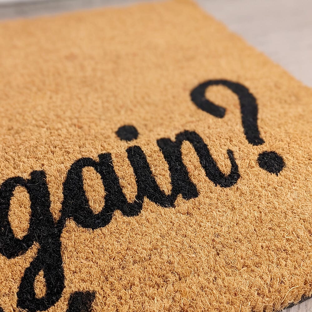 Harwood 'You Again?' Doormat